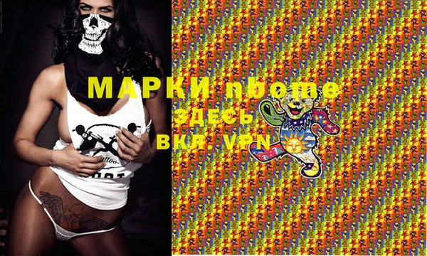 сатива Гусиноозёрск