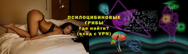 сатива Гусиноозёрск