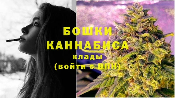 сатива Гусиноозёрск