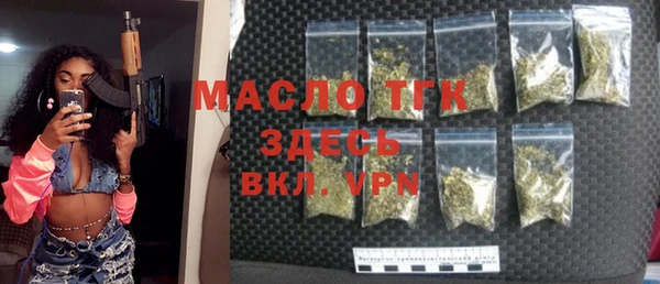 твердый Дмитровск