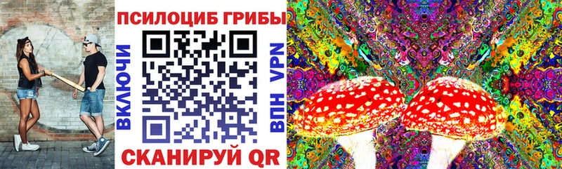 Псилоцибиновые грибы GOLDEN TEACHER наркота Вилючинск